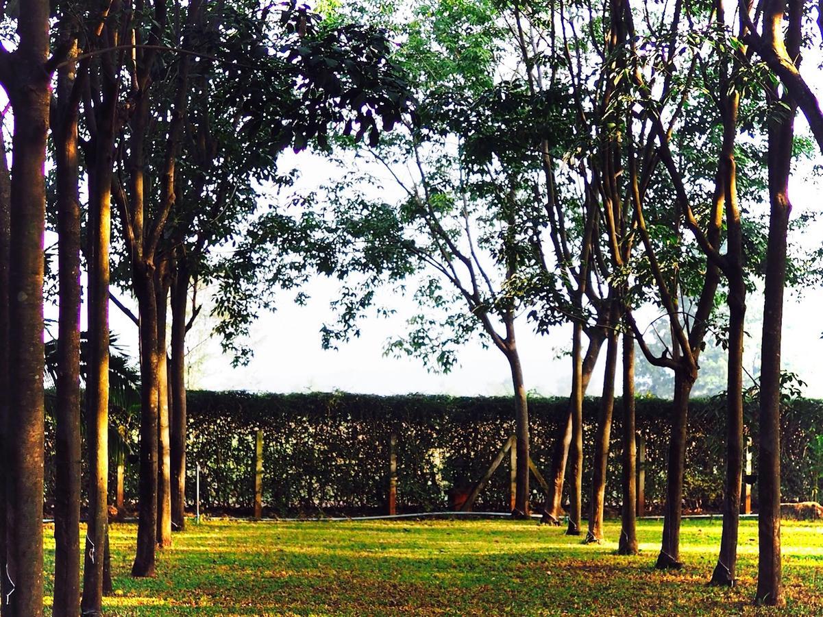 Singha Rubber Tree Hotell Ban Huai Maenam Noi Eksteriør bilde