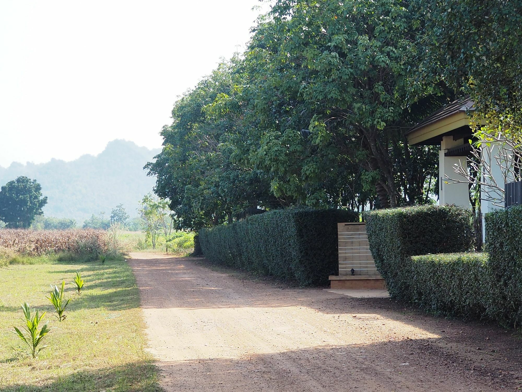 Singha Rubber Tree Hotell Ban Huai Maenam Noi Eksteriør bilde