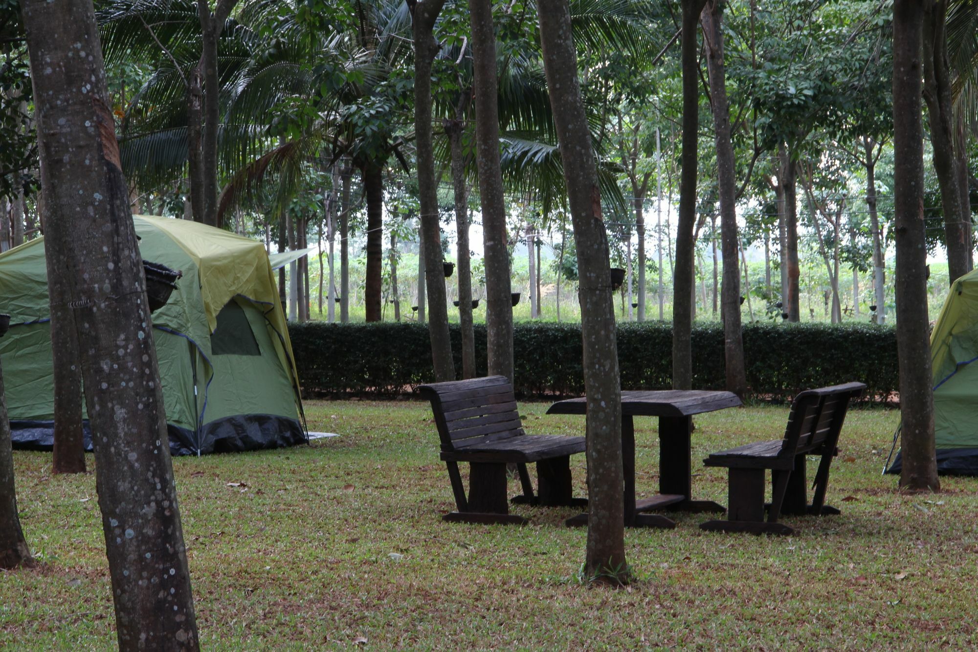 Singha Rubber Tree Hotell Ban Huai Maenam Noi Eksteriør bilde
