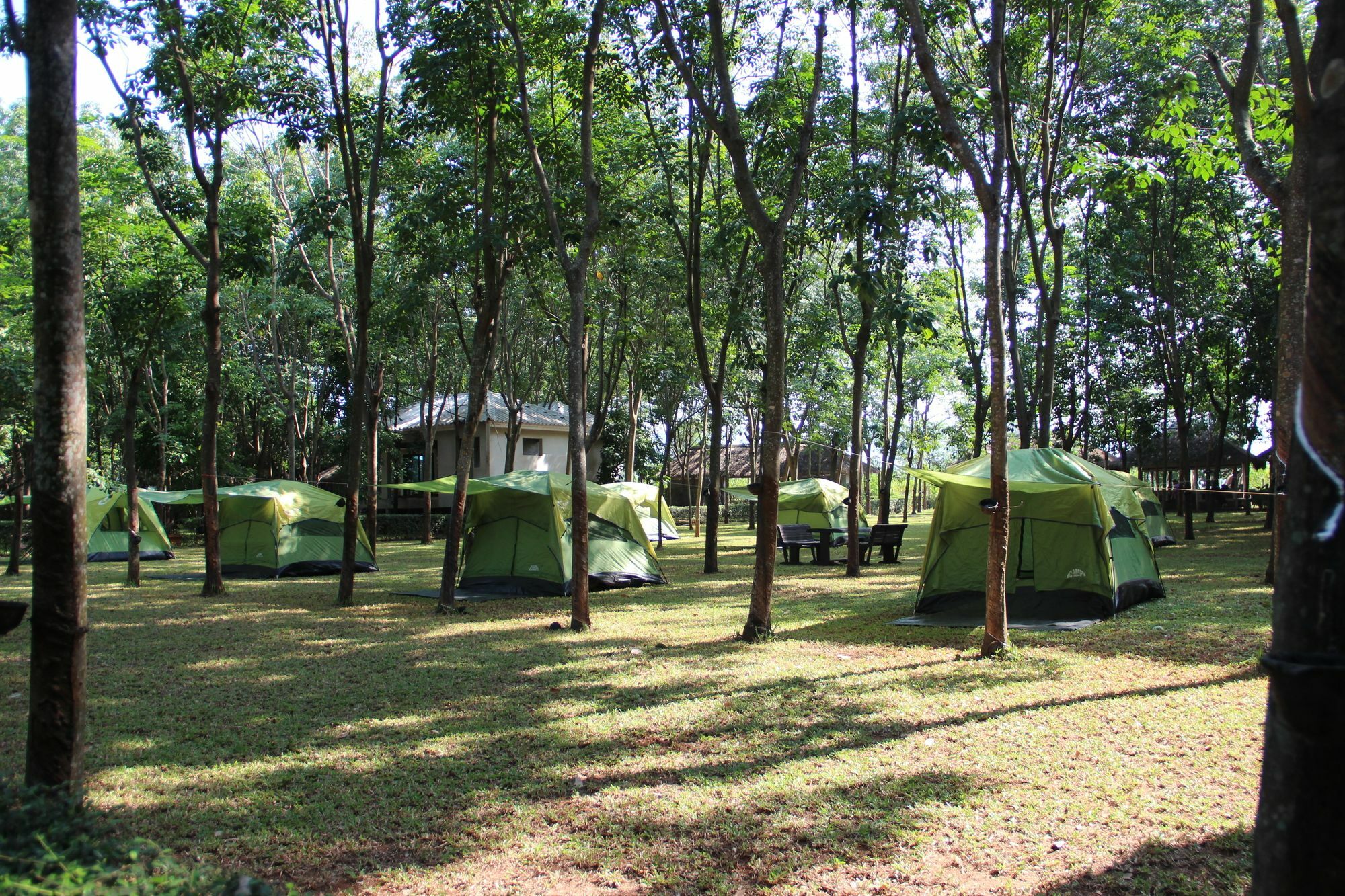 Singha Rubber Tree Hotell Ban Huai Maenam Noi Eksteriør bilde